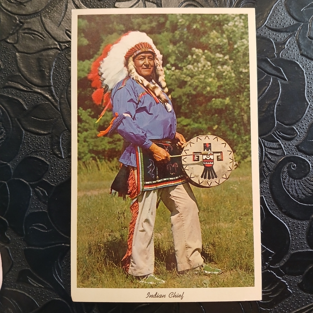 Navajo Indian Chief‎ with Feathered Headdress Vintage Native American Postcard
